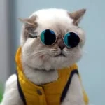 Çiğdem profil fotoğrafı