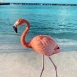 Kübra profil fotoğrafı