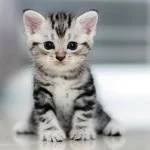 Ezgi profil fotoğrafı