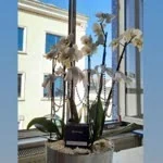 Zhl profil fotoğrafı
