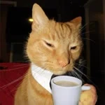 Cihan profil fotoğrafı
