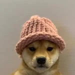 Sude profil fotoğrafı