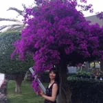Hatice profil fotoğrafı
