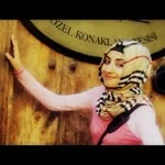 Zerin profil fotoğrafı
