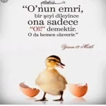 Muhittin profil fotoğrafı