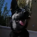 Nazlı profil fotoğrafı