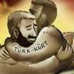 Vedat profil fotoğrafı