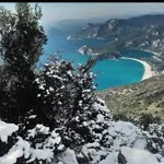 Max profil fotoğrafı
