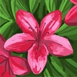 Elif profil fotoğrafı