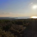 Ertuğrul profil fotoğrafı