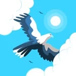 Şahin profil fotoğrafı