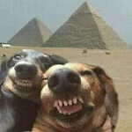 Asya profil fotoğrafı