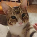 Evren profil fotoğrafı