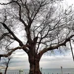 İsmail profil fotoğrafı