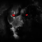 Aslan profil fotoğrafı