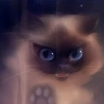 Hande profil fotoğrafı
