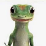 Özgür profil fotoğrafı