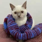 Zeynep profil fotoğrafı