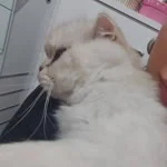 Zeynep profil fotoğrafı