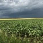 Cevriye profil fotoğrafı
