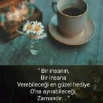 Şeref profil fotoğrafı