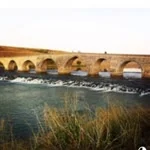Ebru profil fotoğrafı