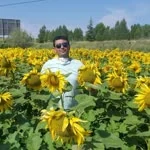 Nihat profil fotoğrafı