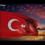 Ali profil fotoğrafı