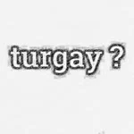 Turgay profil fotoğrafı