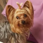 Büşra profil fotoğrafı