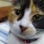 Beyza profil fotoğrafı