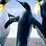 Burkay profil fotoğrafı