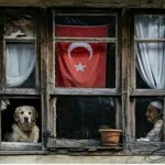 Sevim profil fotoğrafı