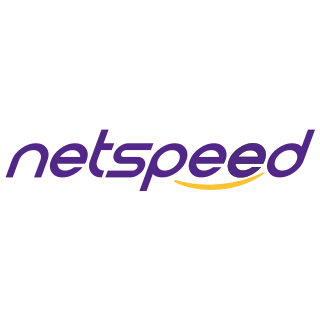 Netspeed logosu
